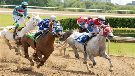 how horse race betting works